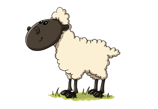 Draw a lamb