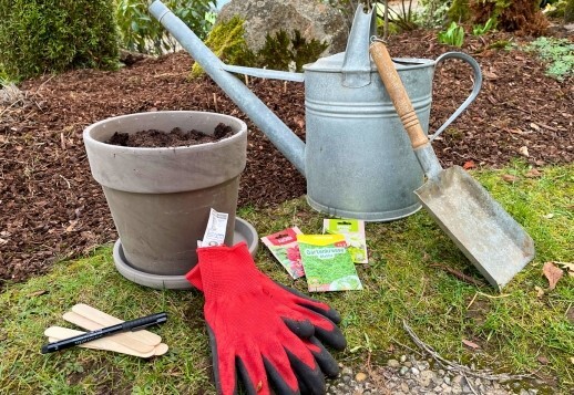 Hands-On Project: Nature's Miracles Vorschau